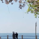青岛旅游 缩略图 3