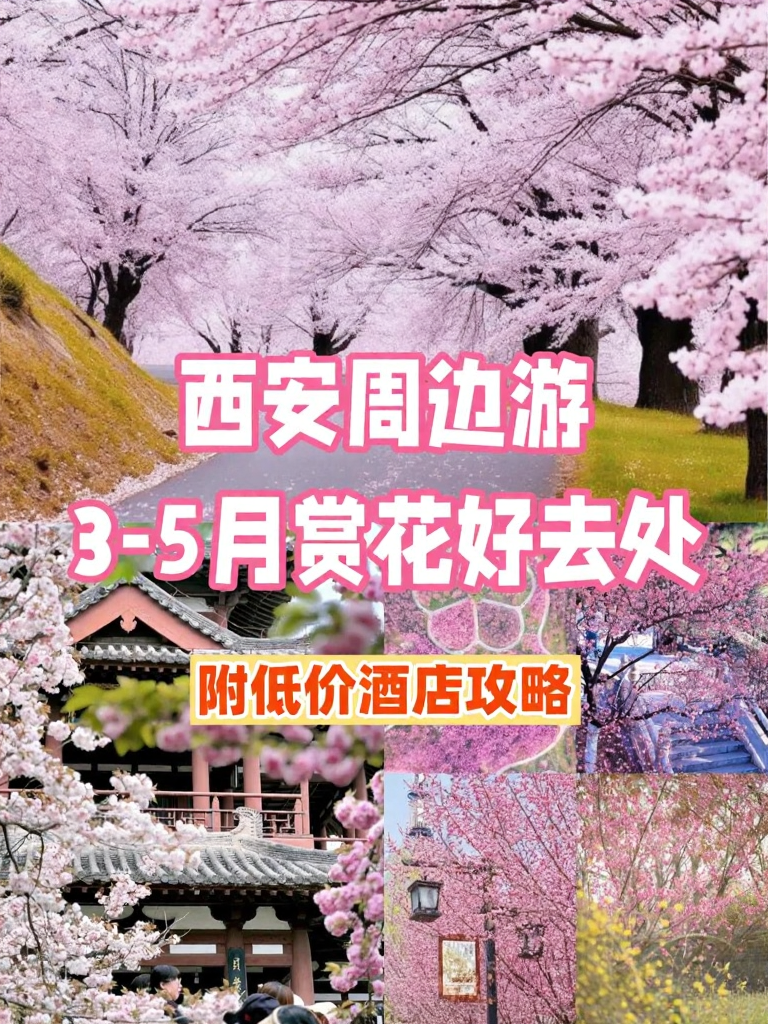 西安旅游