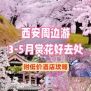 西安旅游 缩略图 1
