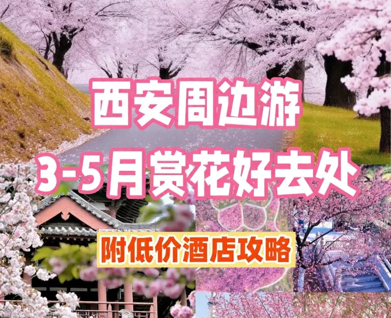 西安旅游 1