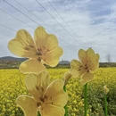 汉中旅游 缩略图 2