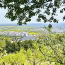 汉中旅游 缩略图 5