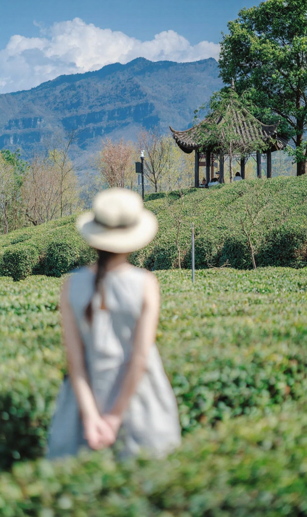 汉中旅游