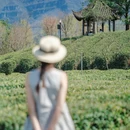 汉中旅游 缩略图 1