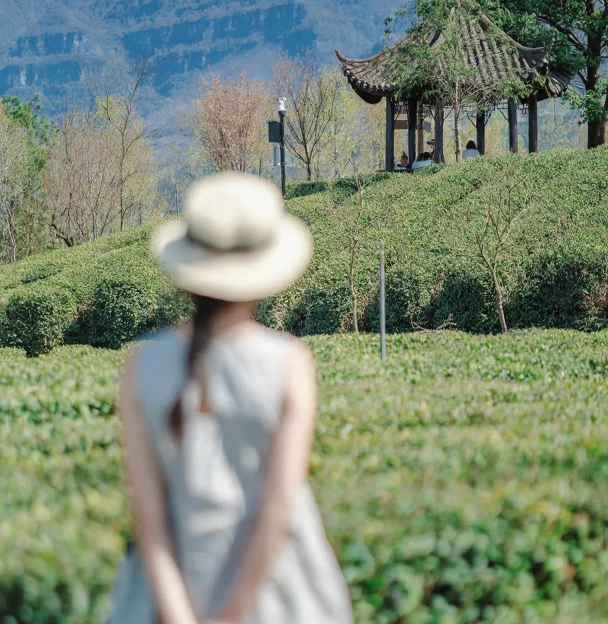 汉中旅游 1
