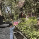 汉中旅游 缩略图 11