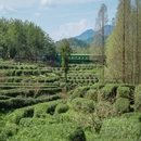 汉中旅游 缩略图 3