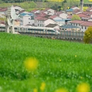 汉中旅游 缩略图 10