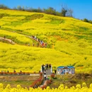 汉中旅游 缩略图 8