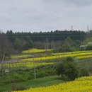 汉中旅游 缩略图 2