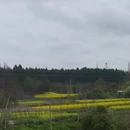 汉中旅游 缩略图 3