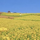 汉中旅游 缩略图 3