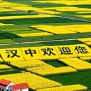 汉中旅游 缩略图 1
