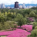 汉中旅游 缩略图 4
