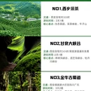 西安旅游 缩略图 2