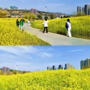 西安旅游 缩略图 1