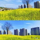 西安旅游 缩略图 3