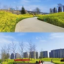 西安旅游 缩略图 2