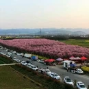 汉中旅游 缩略图 6