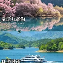 西安旅游 缩略图 2