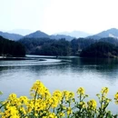 汉中旅游 缩略图 5
