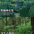 西安旅游 缩略图 3