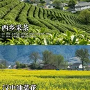 西安旅游 缩略图 6