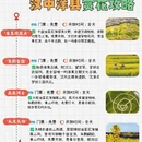 汉中旅游 缩略图 4