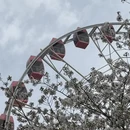 上海旅游 缩略图 2