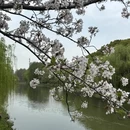 上海旅游 缩略图 6