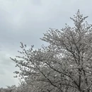 上海旅游 缩略图 5
