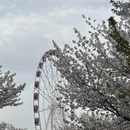 上海旅游 缩略图 7