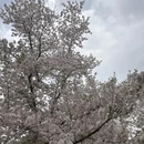 上海旅游 缩略图 10
