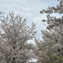 上海旅游 缩略图 11