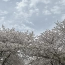 上海旅游 缩略图 9