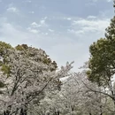 上海旅游 缩略图 14