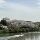 上海旅游 缩略图 15