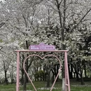 上海旅游 缩略图 8