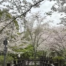 上海旅游 缩略图 12