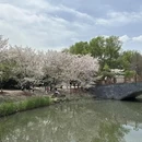 上海旅游 缩略图 17