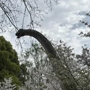 上海旅游 缩略图 18