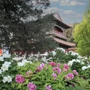 北京旅游 缩略图 9