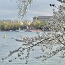 北京旅游 缩略图 14