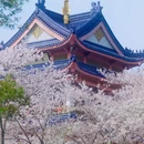 无锡旅游 缩略图 6