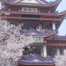 无锡旅游 缩略图 5