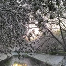 北京旅游 缩略图 1