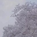 无锡旅游 缩略图 9