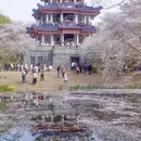 无锡旅游 缩略图 4