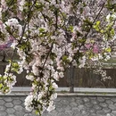 北京旅游 缩略图 7