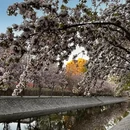 北京旅游 缩略图 8